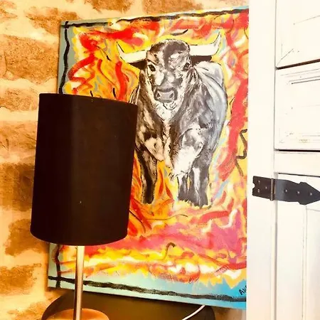 Le Corridon Hyper Centre Lägenhet Nîmes